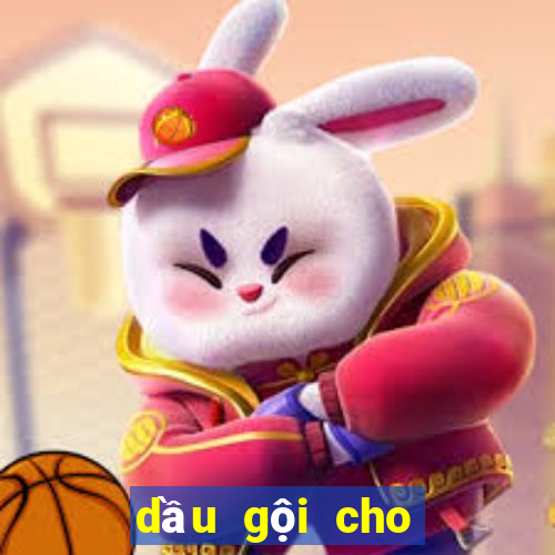 dầu gội cho đầu bết