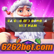 Cá cược giải bóng đá Việt Nam