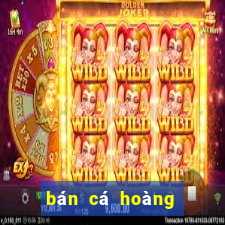 bán cá hoàng bảo yến tại hà nội