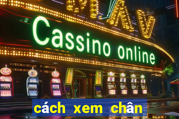 cách xem chân gà đá hay