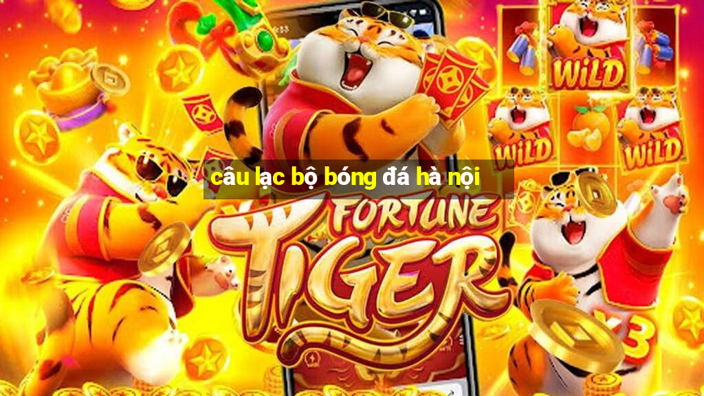 câu lạc bộ bóng đá hà nội