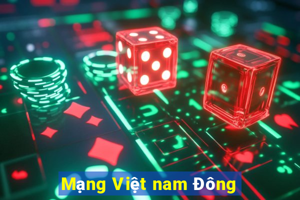 Mạng Việt nam Đông