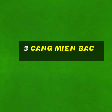 3 cang mien bac