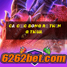 Cá cược bóng rổ thắng thua