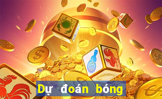 Dự đoán bóng rổ hỗn hợp