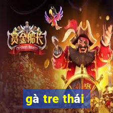 gà tre thái