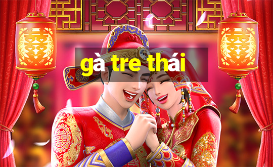 gà tre thái