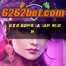 kèo bóng đá đan mạch