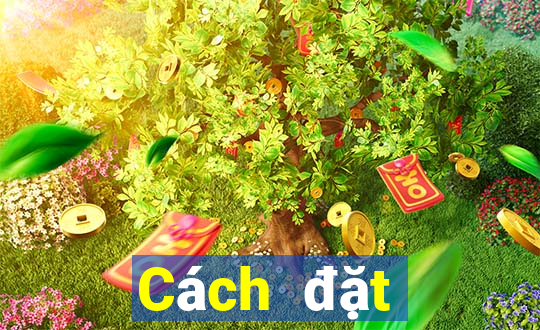 Cách đặt cược XSST