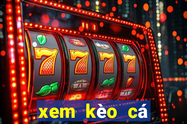 xem kèo cá cược bóng đá