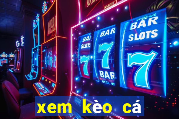 xem kèo cá cược bóng đá