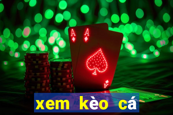 xem kèo cá cược bóng đá