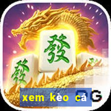 xem kèo cá cược bóng đá