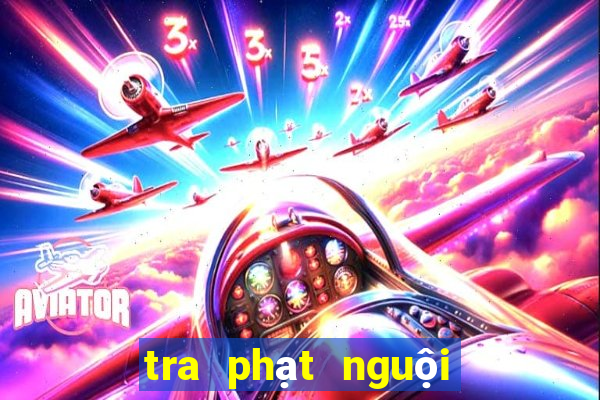 tra phạt nguội ô tô