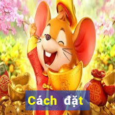 Cách đặt cược XSPY ngày thứ sáu