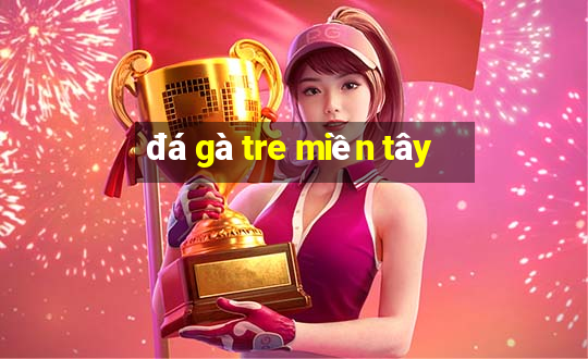 đá gà tre miền tây