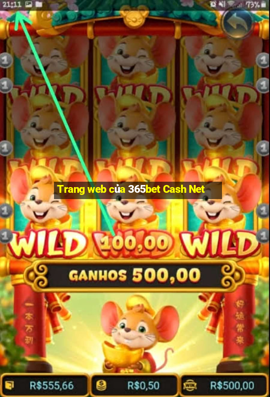 Trang web của 365bet Cash Net