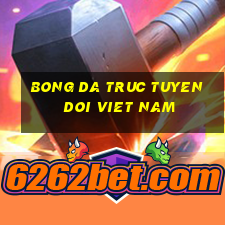 bong da truc tuyen doi viet nam