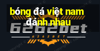 bóng đá việt nam đánh nhau