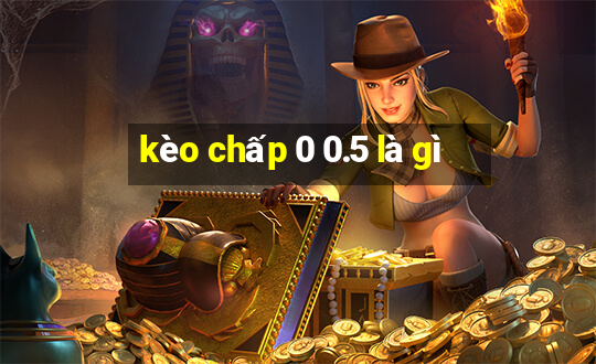 kèo chấp 0 0.5 là gì