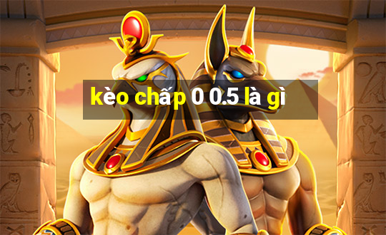 kèo chấp 0 0.5 là gì