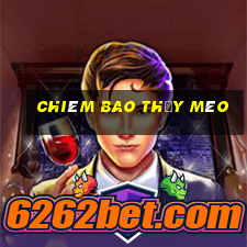 chiêm bao thấy mèo