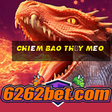 chiêm bao thấy mèo