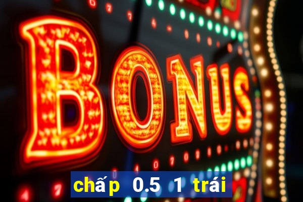 chấp 0.5 1 trái là sao