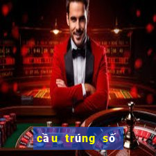 cầu trúng số độc đắc