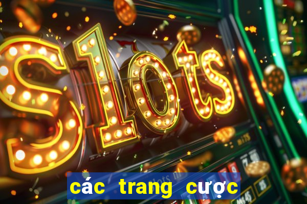 các trang cược uy tín