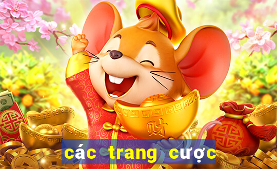 các trang cược uy tín