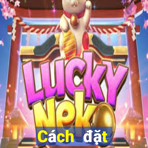 Cách đặt cược XSLA ngày mai