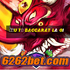 đầu từ baccarat là gì