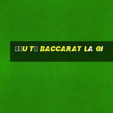 đầu từ baccarat là gì