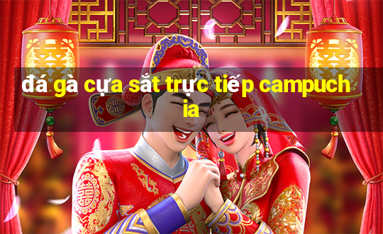 đá gà cựa sắt trực tiếp campuchia