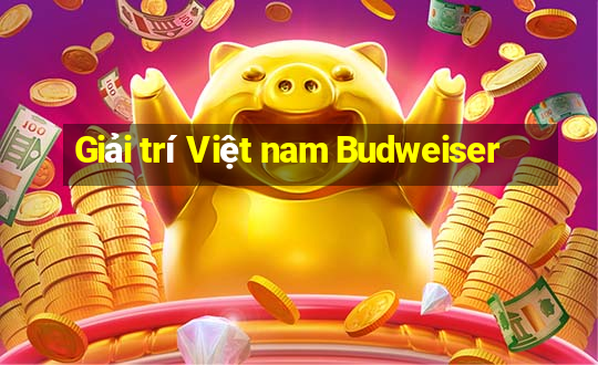 Giải trí Việt nam Budweiser