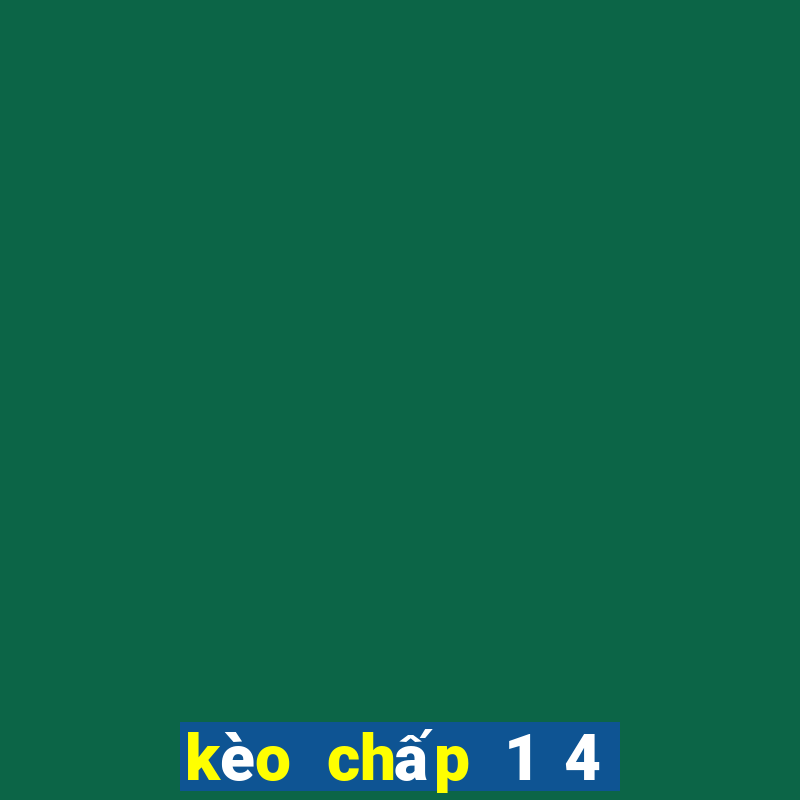 kèo chấp 1 4 là như thế nào