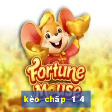 kèo chấp 1 4 là như thế nào