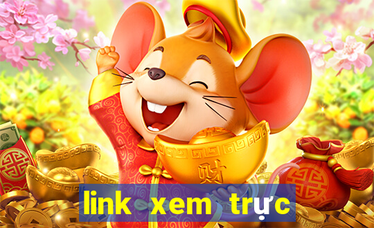 link xem trực tiếp tennis