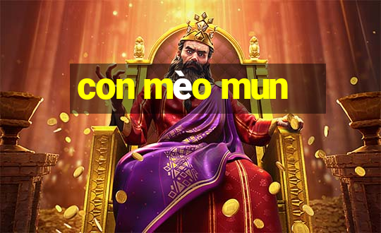 con mèo mun