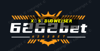 Xổ số Budweiser