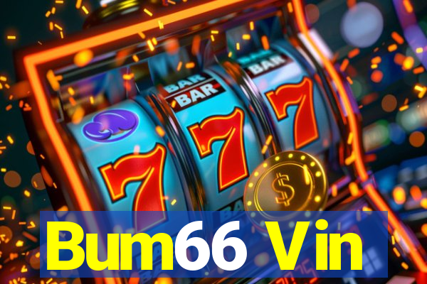 Bum66 Vin