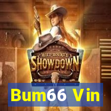 Bum66 Vin