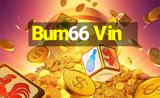 Bum66 Vin