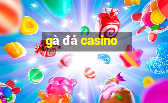 gà đá casino