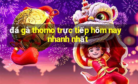 đá gà thomo trực tiếp hôm nay nhanh nhất