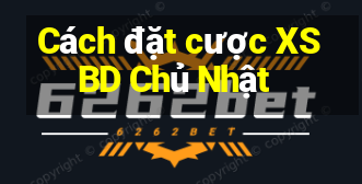 Cách đặt cược XSBD Chủ Nhật