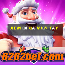 xem đá gà miền tây