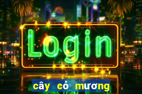 cây cỏ mương chữa dạ dày