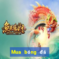 Mua bóng đá trực tuyến